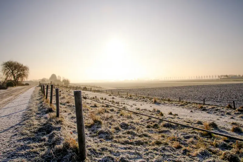 Aggregaat starten bij vorst: wintergids Noord-Holland