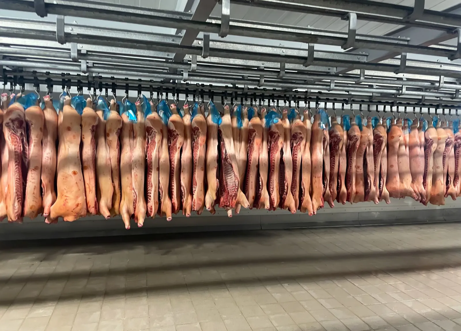 Noodstroom koelcel Noord-Holland: aggregaat, eisen &