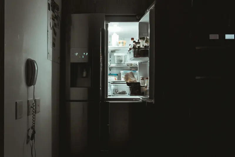 Noodstroom koelkast vriezer bij stroomstoring thuis