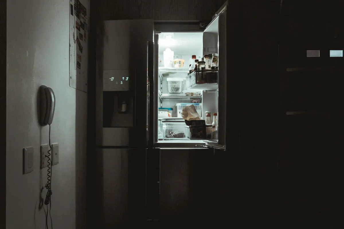 Noodstroom koelkast vriezer bij stroomstoring thuis