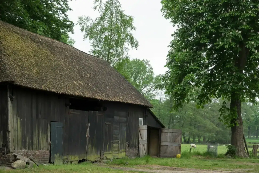 Noodstroom stal Noord-Holland: vermogen, kosten &