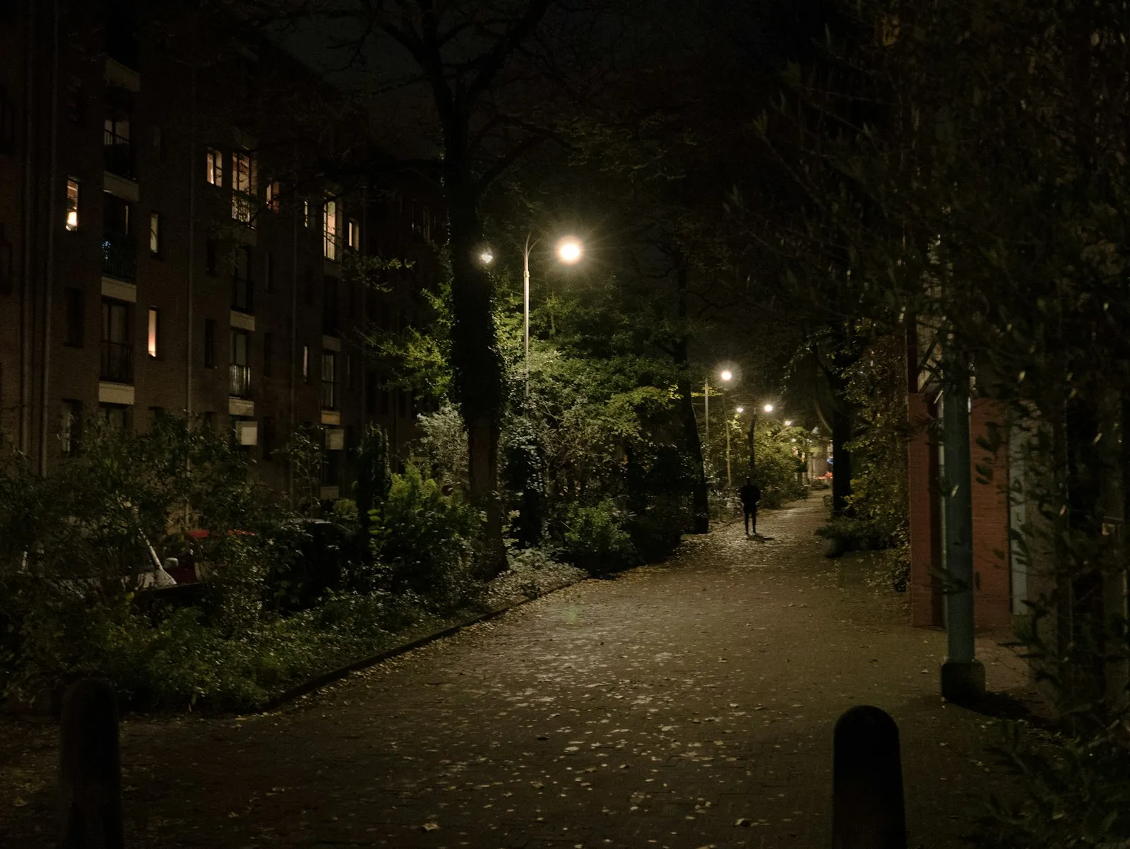 Wat te doen bij langdurige stroomstoring Noord-Holland
